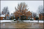 DigitalScape Photography